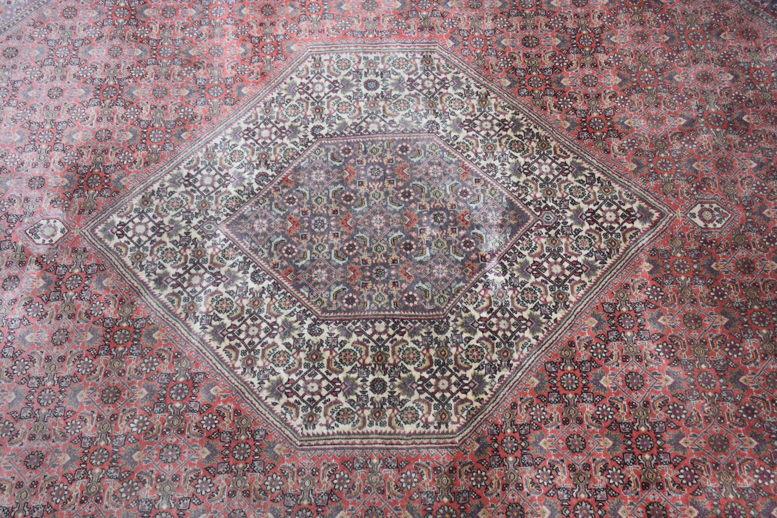 Tapete Bidjar (1801) - foto 2 de 9
