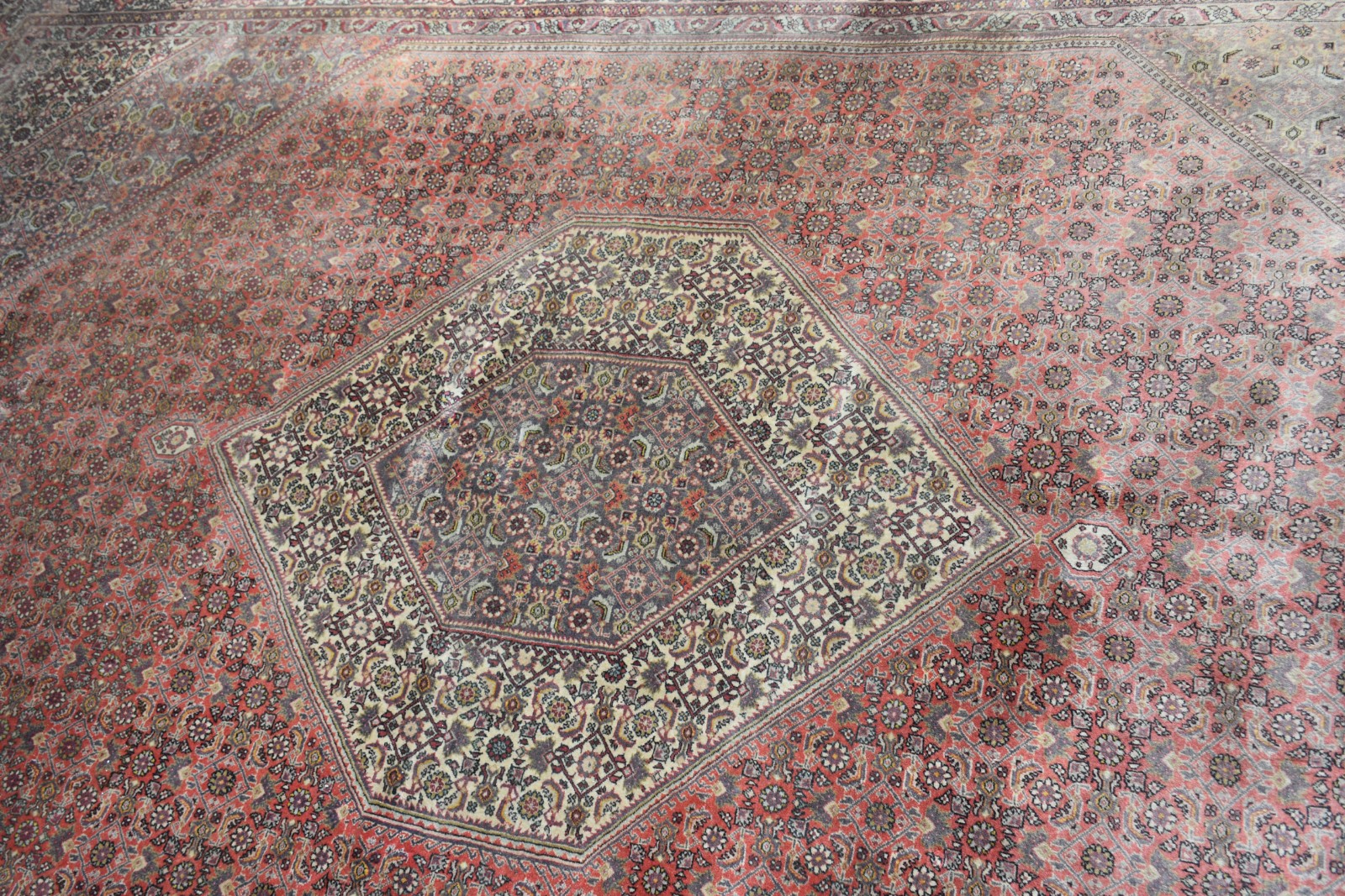 Tapete Bidjar (1801) - foto 7 de 9