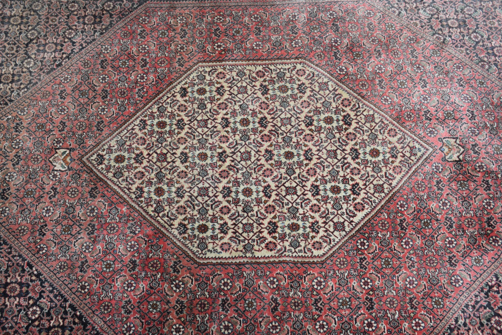 Tapete Bidjar (1801) - foto 2 de 11
