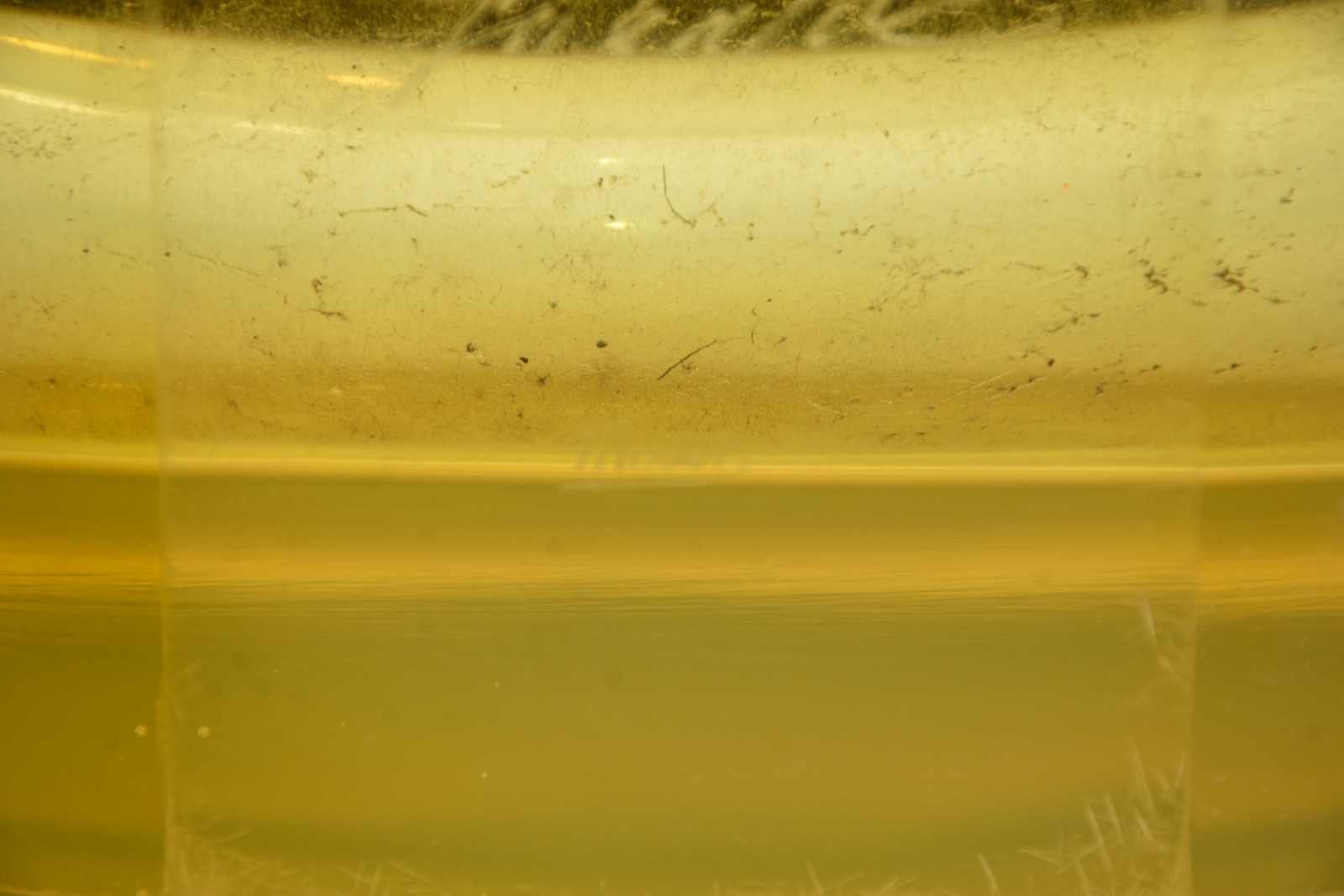 Moser Glassworks (1857) - foto 8 de 9