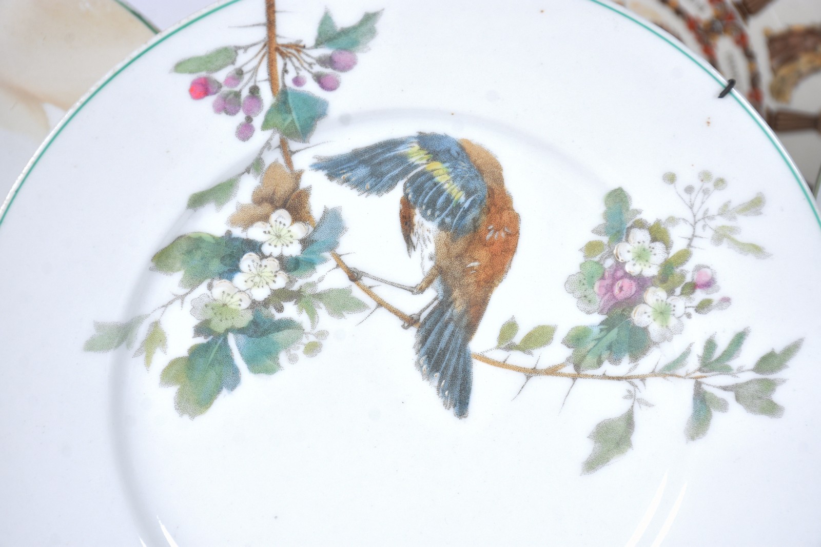 Lote com 8 pratos diversos de porcelana, sendo 7 franceses (2 com... - foto 2 de 11