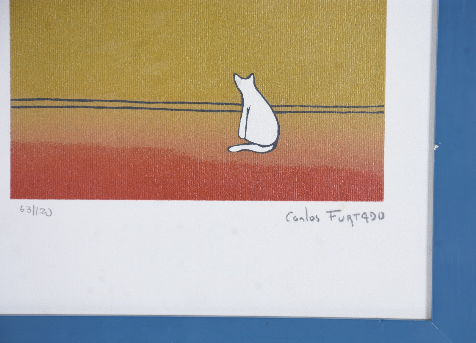 Gatinho Na Janela - foto 4 de 5