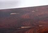 Mesa de jantar de madeira nobre, tampo dobrável... - Mesa de jantar de madeira nobre, tampo dobrável, apoio em pernas retas ligadas por trave inferior. Folheado com partes descascando. Acompanham 4...