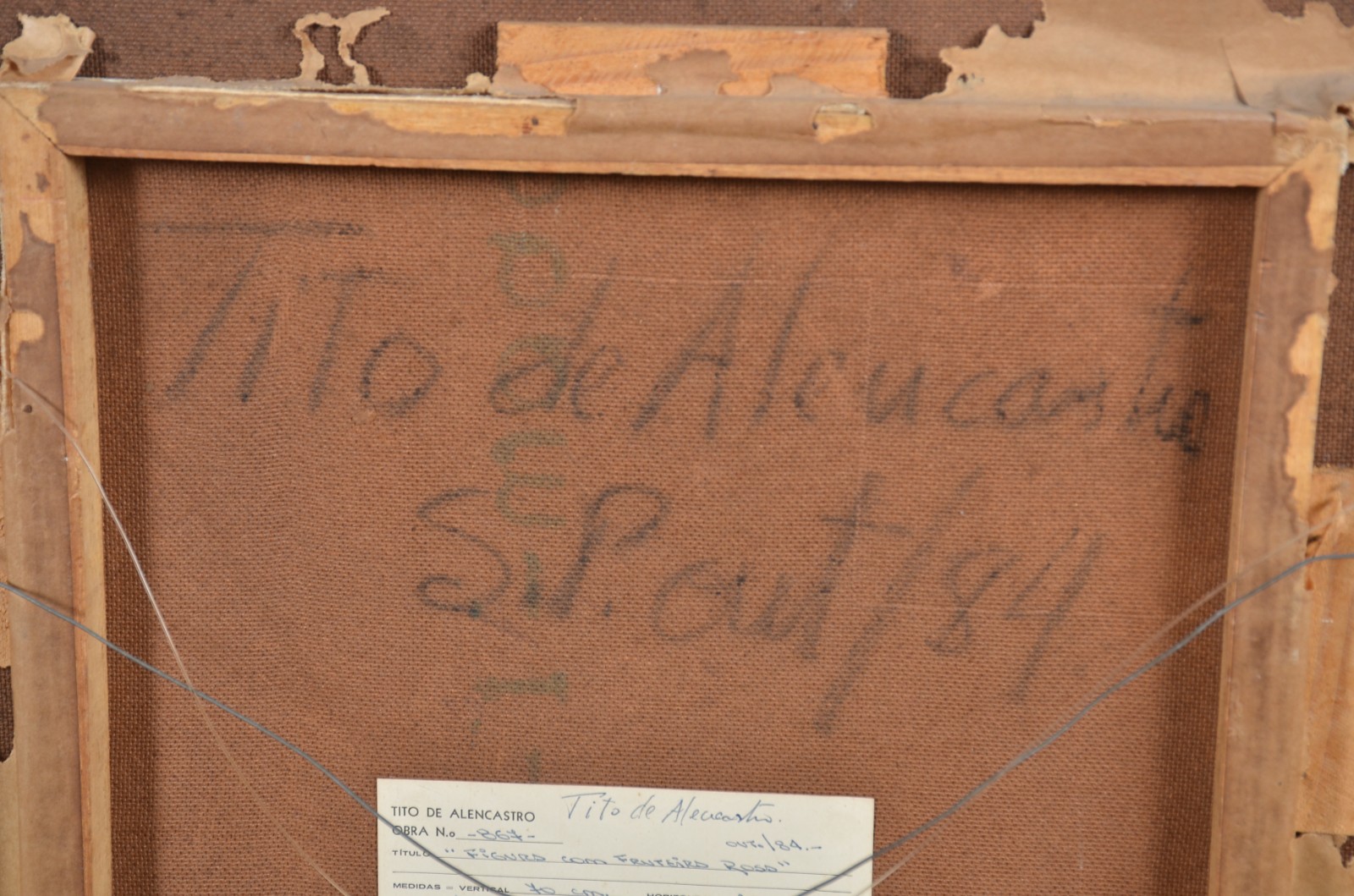 Tito de Alencastro (1934-1999), Figura Com Fruteira Rosa - foto 6 de 6