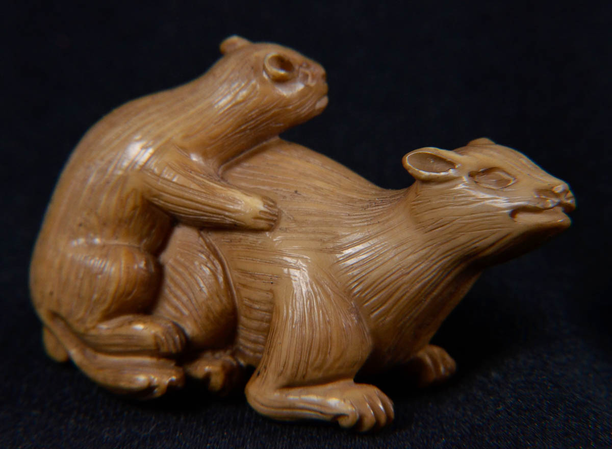 Netsuke de marfim repres.animal com filhote.