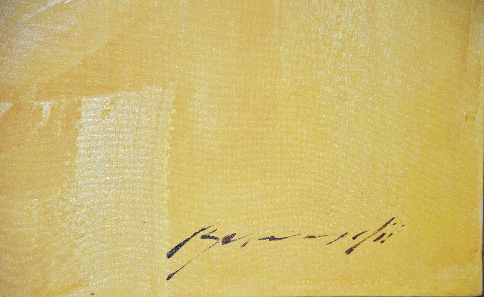 Bernardii (1949), Descoberta - foto 2 de 5