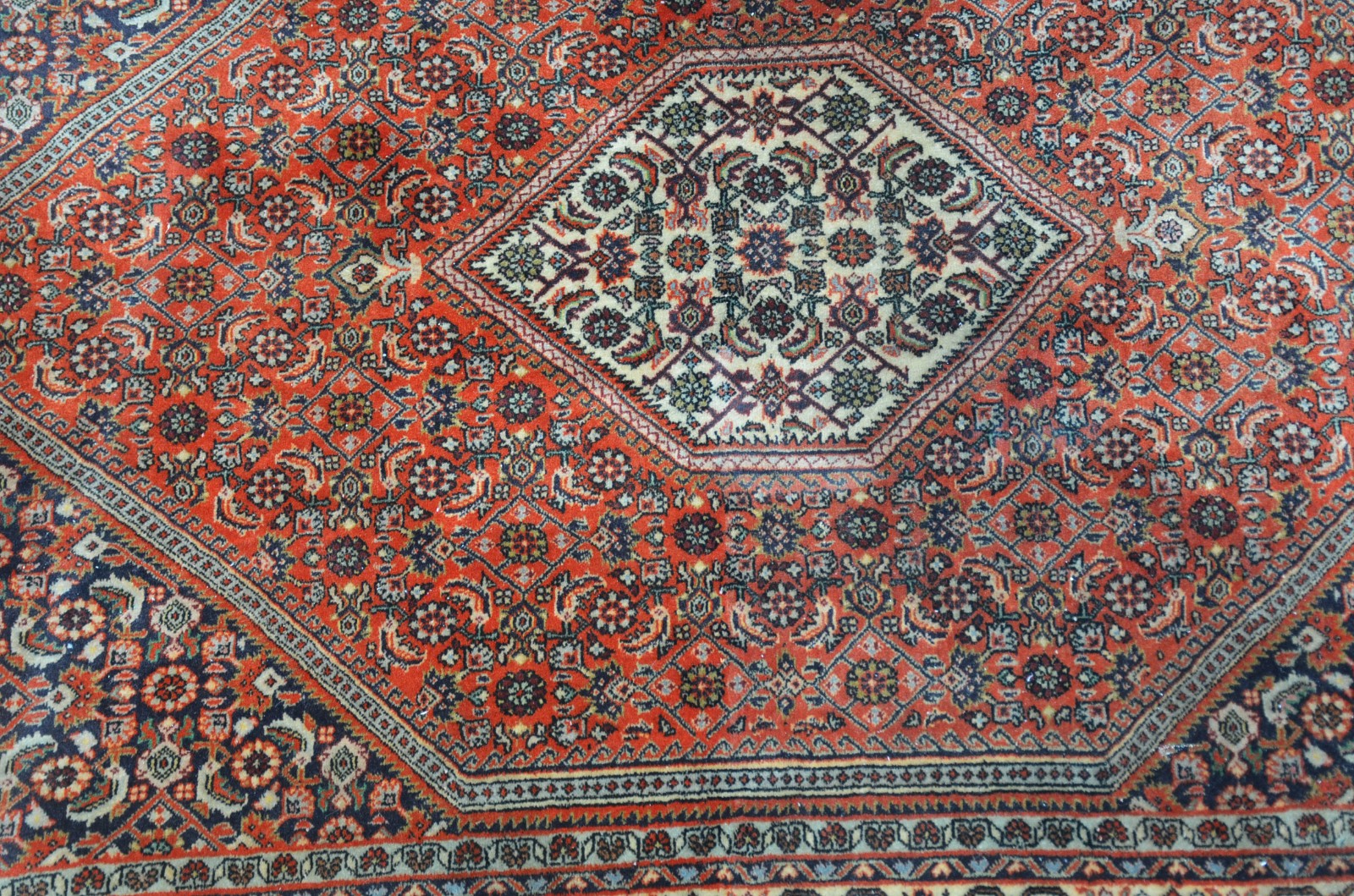 Tapete Bidjar (1801) - foto 4 de 7