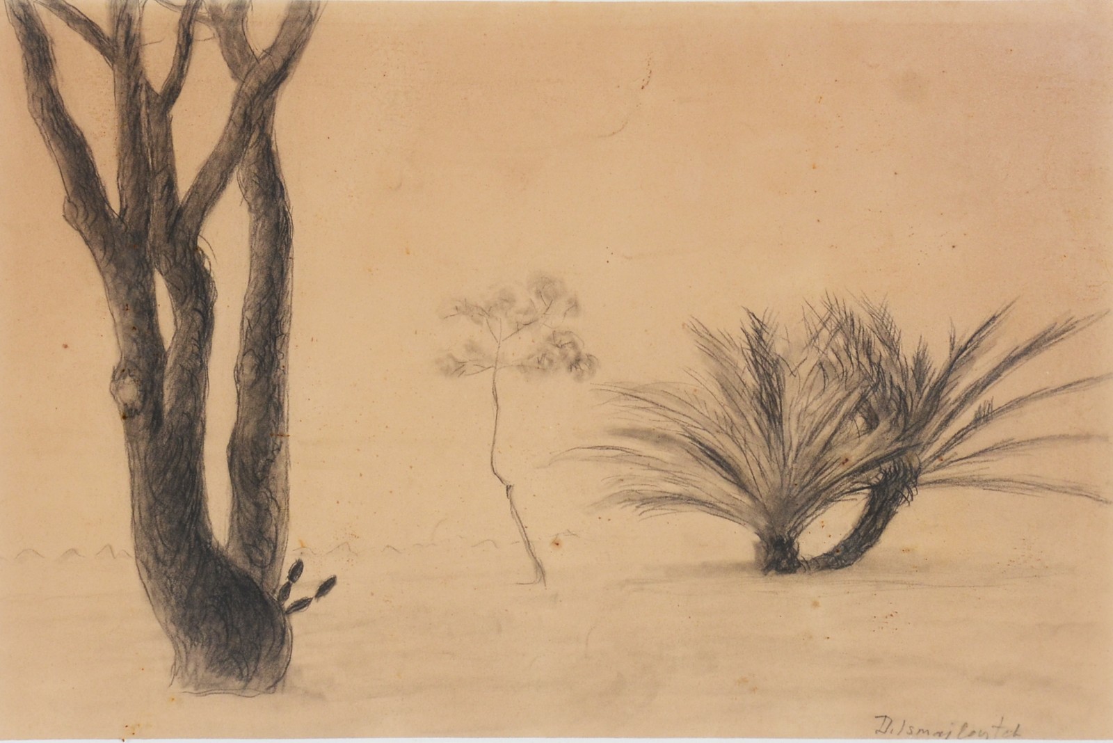 Dimitri Ismailovitch (1892-1976), Plantas - foto 1 de 4