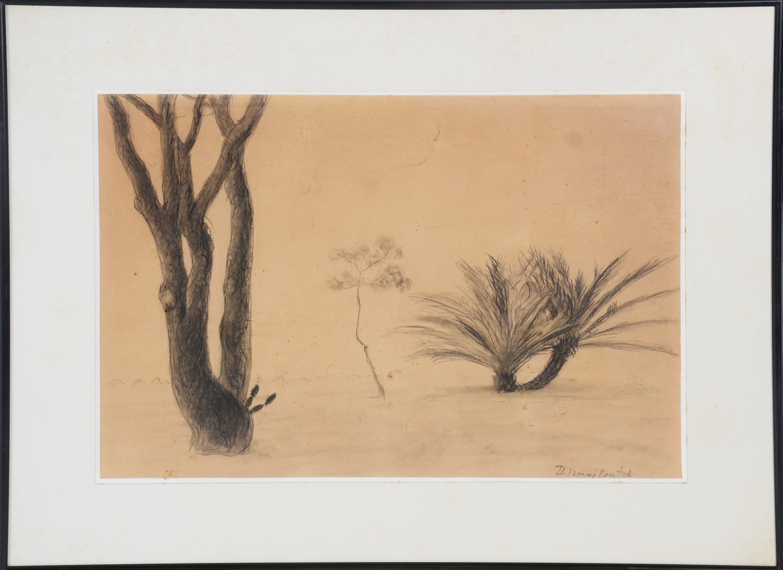 Dimitri Ismailovitch (1892-1976), Plantas - foto 2 de 4