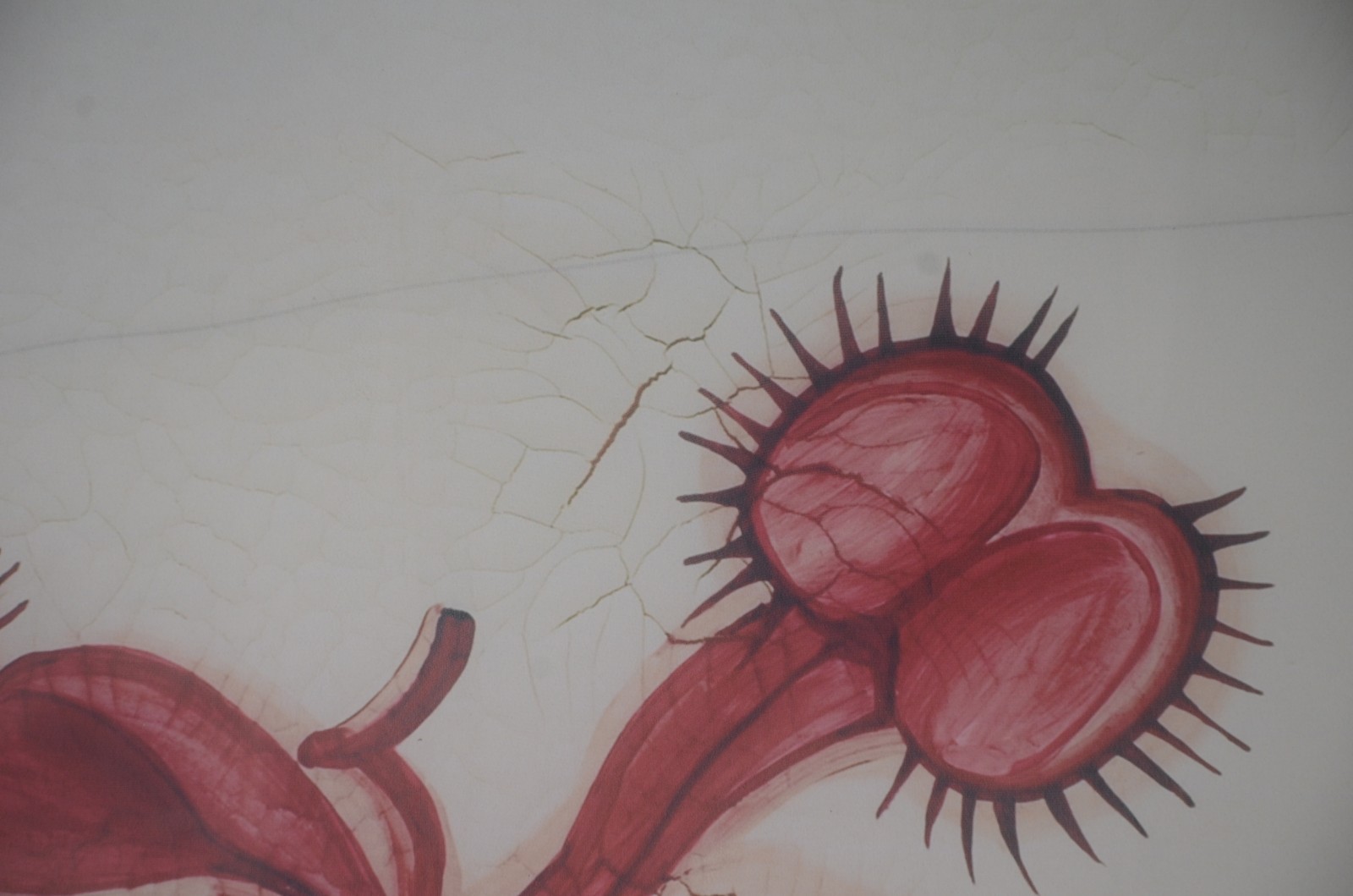 Adriana Varejão (1964), Carnívoras - foto 5 de 6