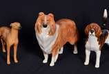 Tres estatuetas de porcelana policromada  ingle... - Tres estatuetas de porcelana policromada  inglesa Beswick repres. cães, alts. 11, 12 e 14 cm.