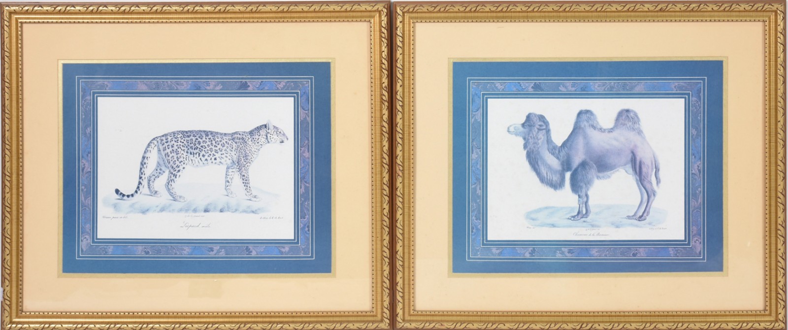 Par de gravuras decorativas representando animais. (medida externa... - foto 1 de 4