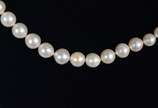 Colar de perolas cultivadas com fecho de ouro 1... - Colar de perolas cultivadas com fecho de ouro 18k. (Por motivos de segurança a peça não se encontra na loja)