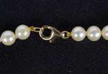 Colar de perolas cultivadas com fecho de ouro 1... - Colar de perolas cultivadas com fecho de ouro 18k. (Por motivos de segurança a peça não se encontra na loja)
