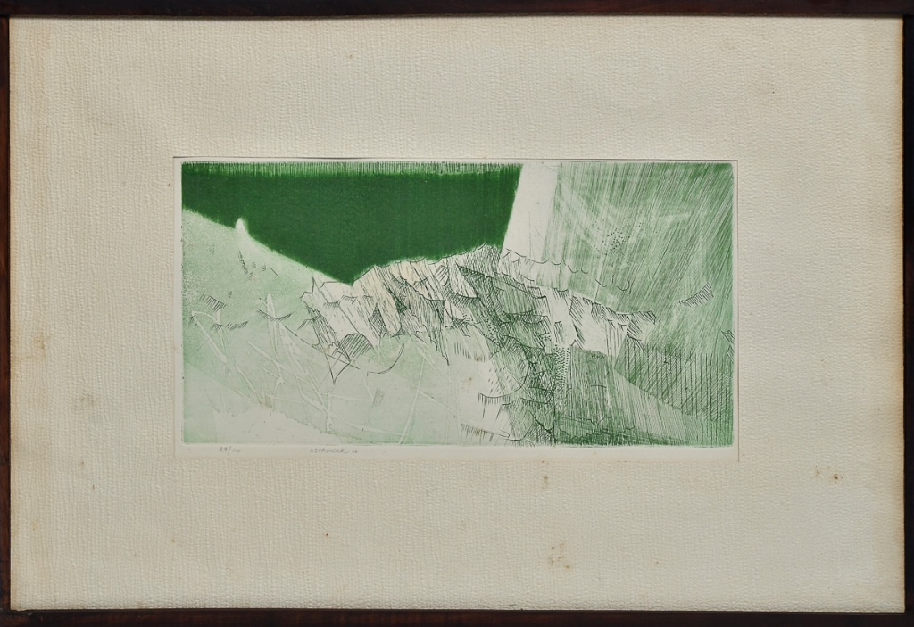 FAYGA OSTROWER - Litografia 29/110 - dat.1966 - 24 x 47 cm.