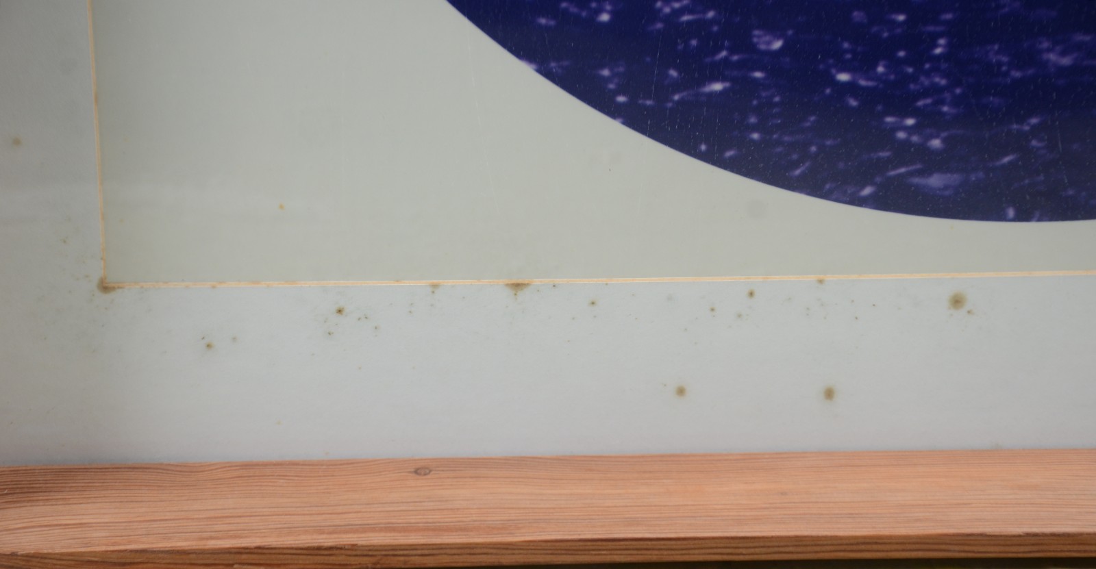 Par de gravuras decorativas. Pontos de fungos. - foto 3 de 6