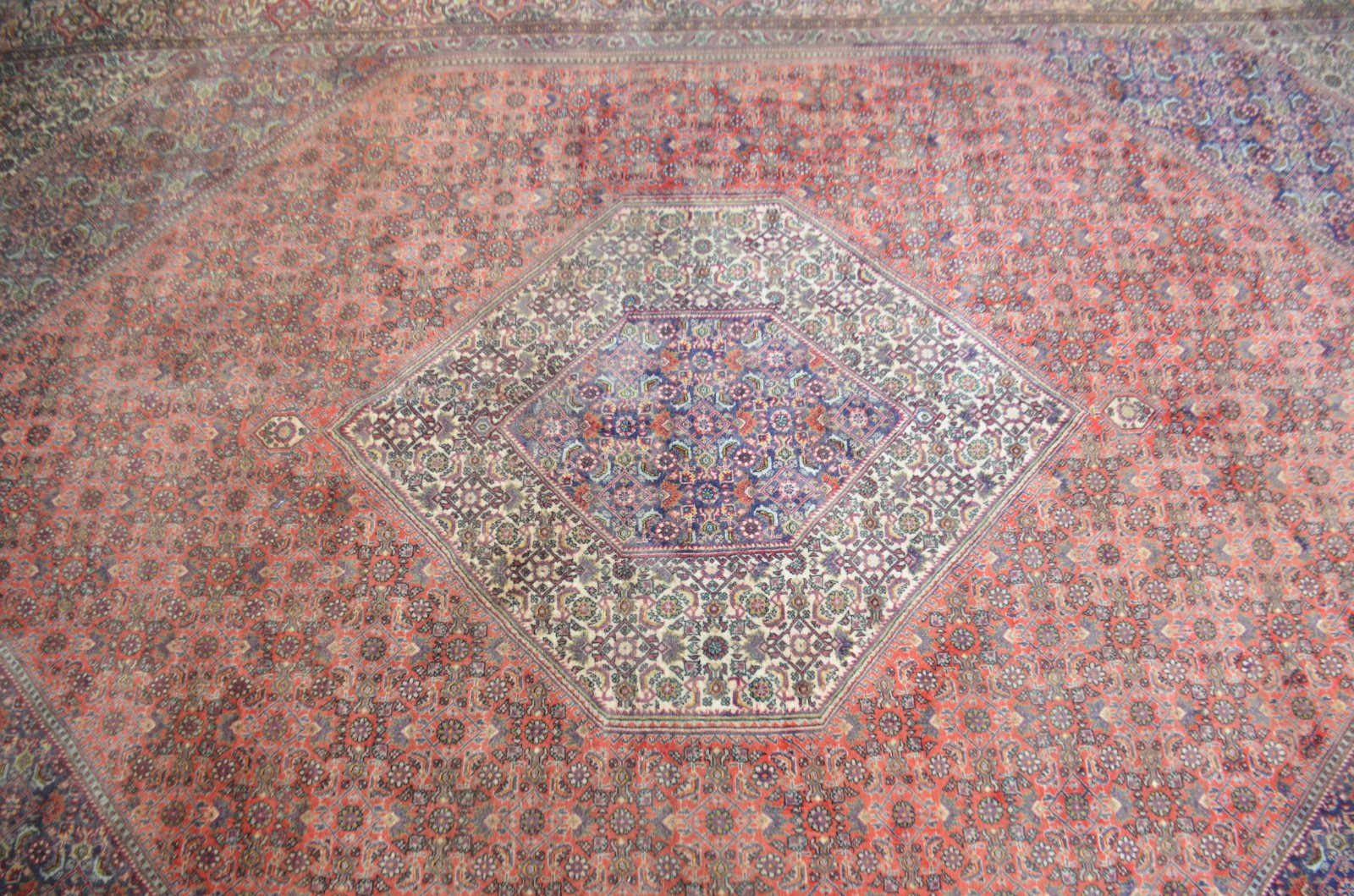 Tapete Bidjar (1801) - foto 2 de 6