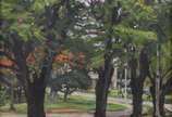 Lisa O'Connor (1965-2020), Paisagem - Óleo sobre tela. Datado 1986.