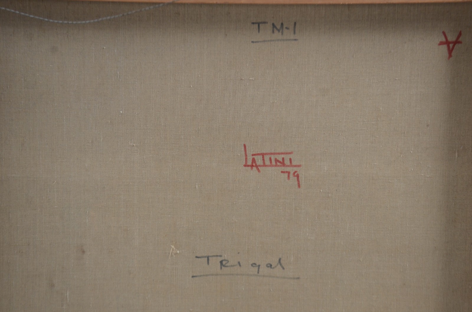 Anelio Latini (1926-1986), Trigal - foto 5 de 6