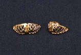 Par de brincos de ouro 18 k, peso 1,8 g. - Par de brincos de ouro 18 k, peso 1,8 g.
