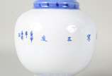 Par de vasos de porcelana oriental azul e branc... - Par de vasos de porcelana oriental azul e branca na forma de balaústres, decorados com elementos fitomórficos e ideogramas. Assinados na base.