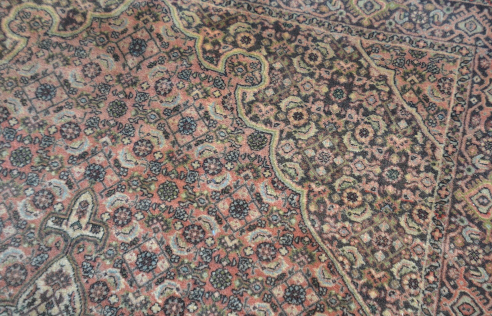 Tapete Bidjar (1801) - foto 4 de 7