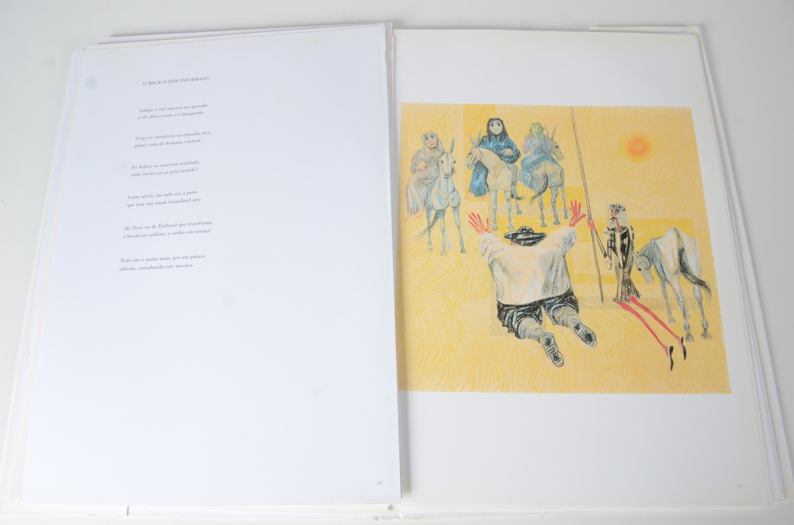 Dois livros sobre "Dom Quixote, Drumond e Portinari", sendo um em... - foto 7 de 8