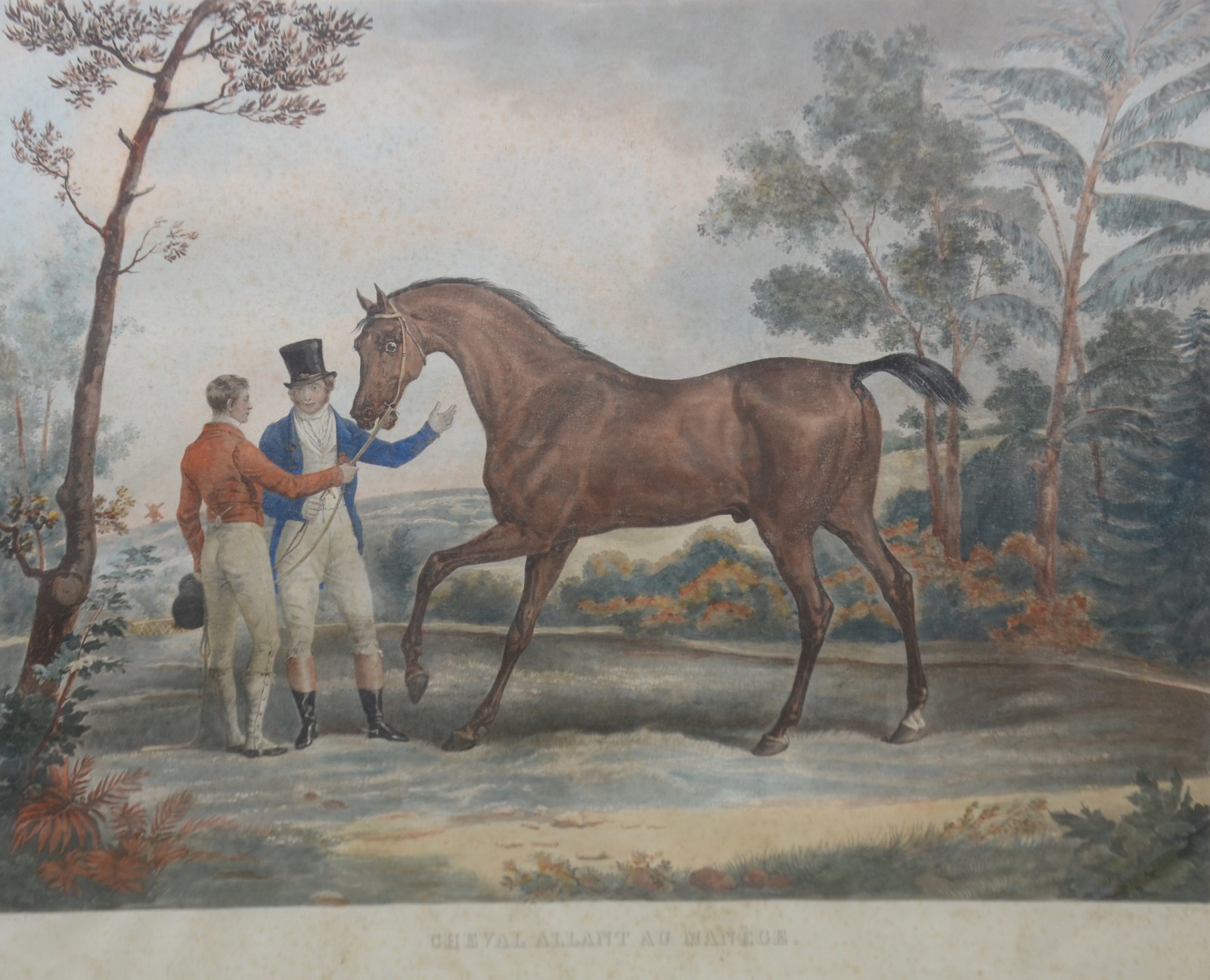 Cheval allant au manége - foto 1 de 9
