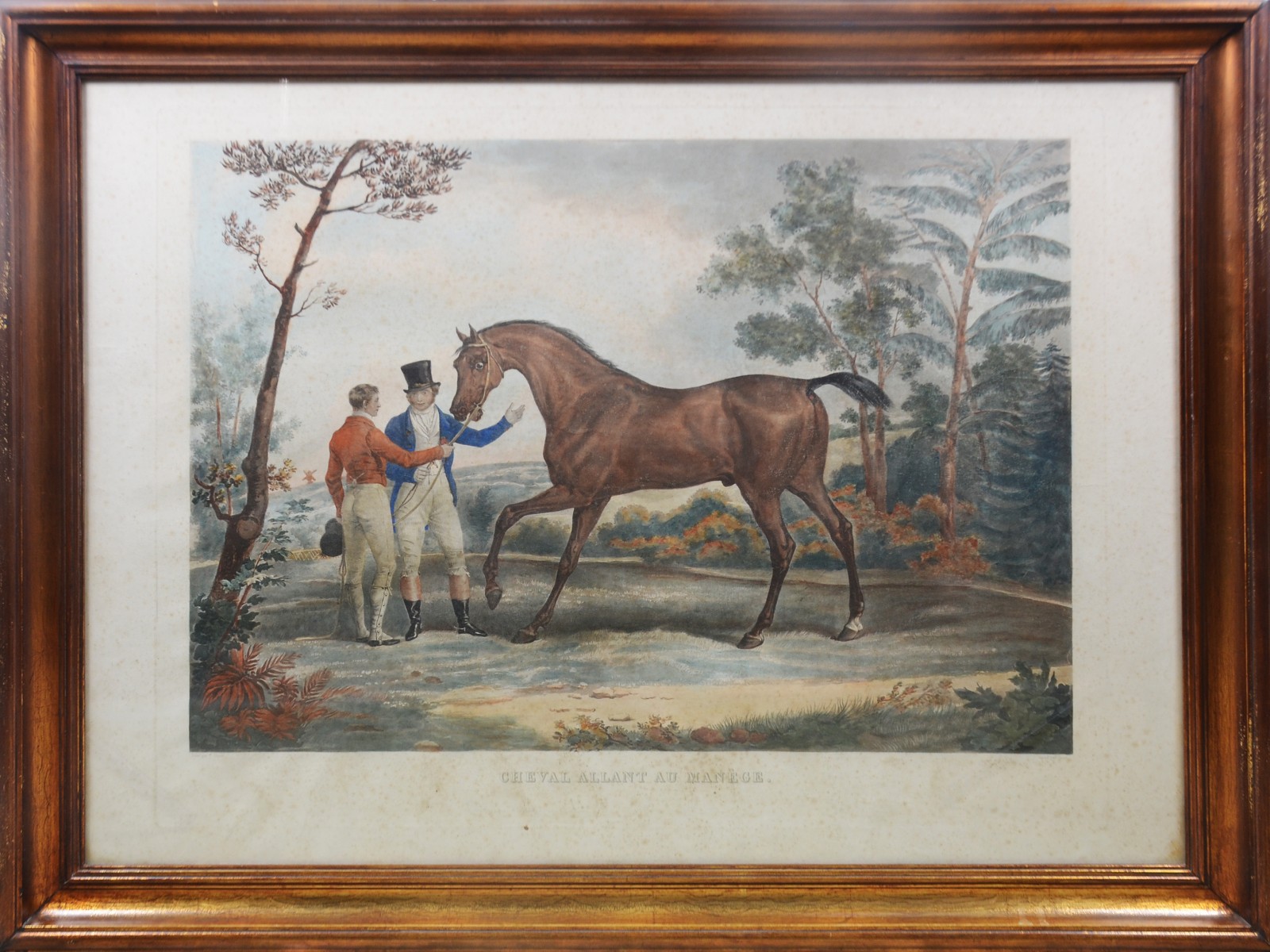 Cheval allant au manége - foto 2 de 9