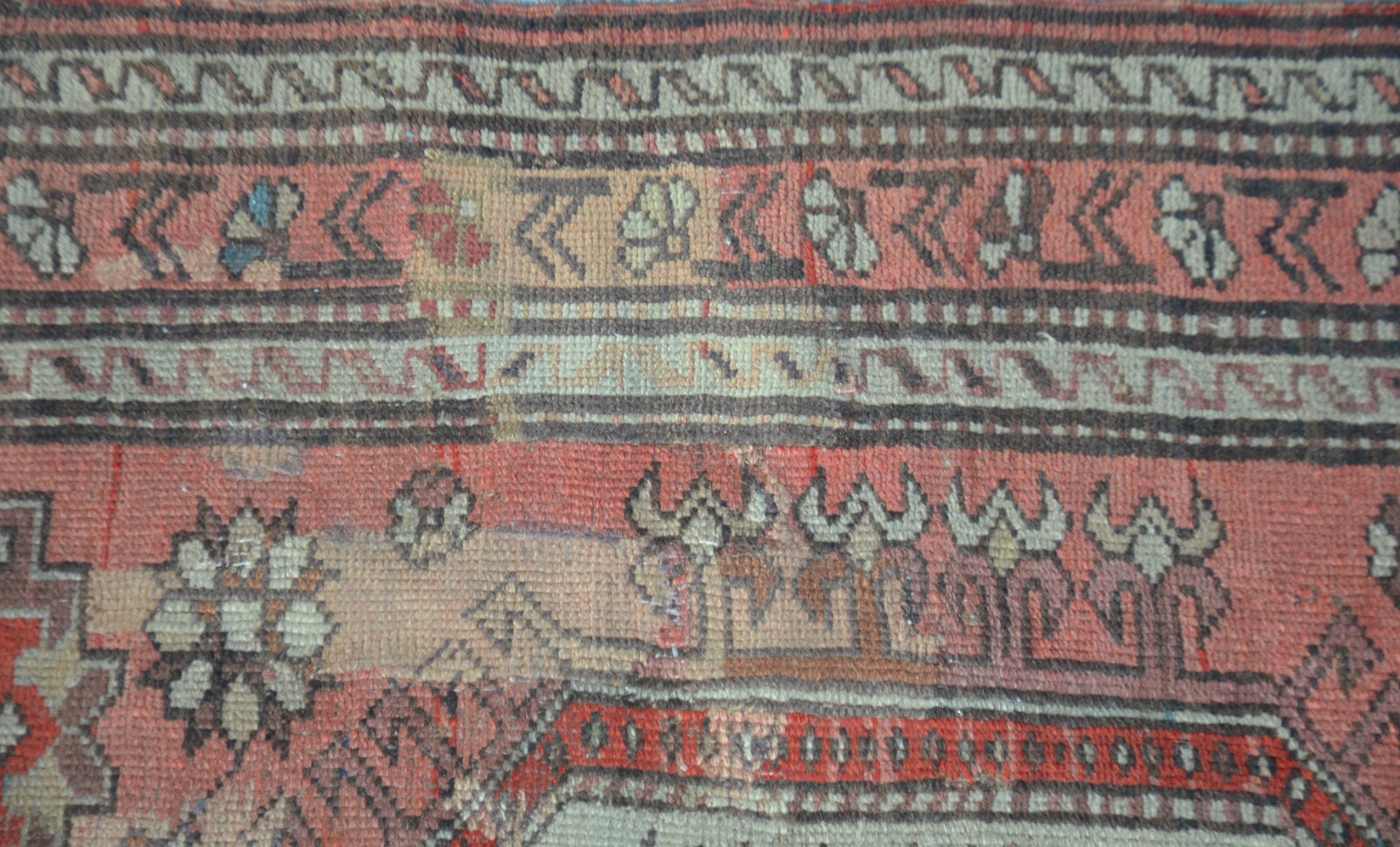Tapete Shirvan (1701) - foto 3 de 7