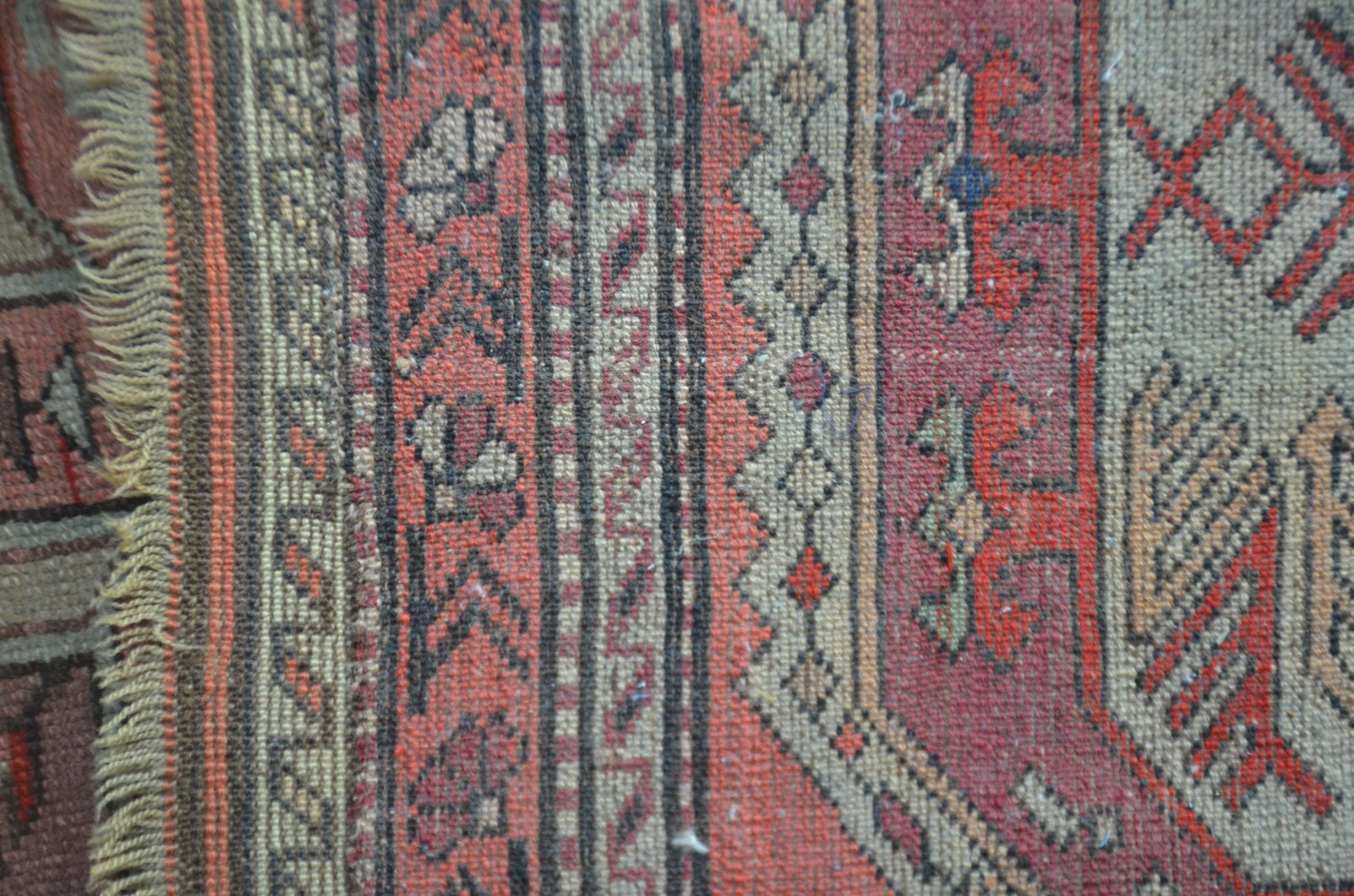 Tapete Shirvan (1701) - foto 6 de 7