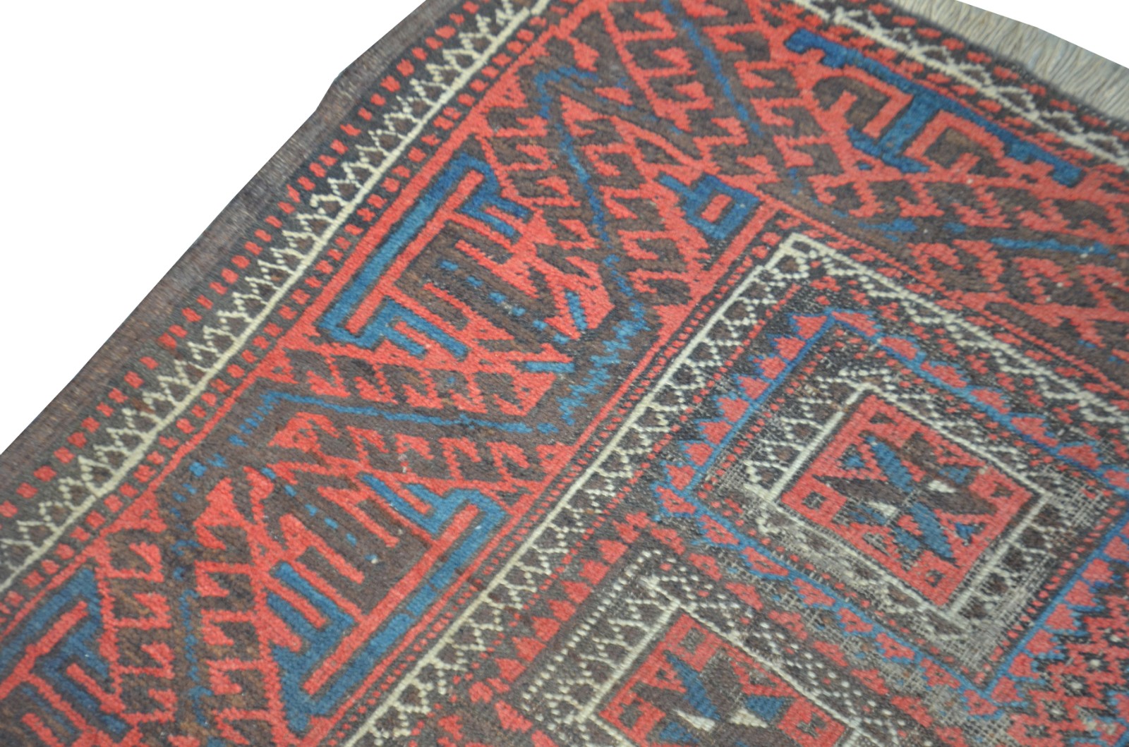 Tapete Shirvan (1701) - foto 4 de 6