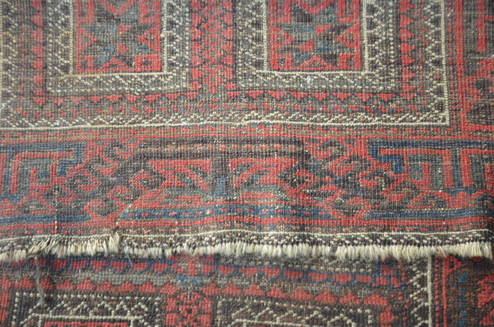 Tapete Shirvan (1701) - foto 6 de 6