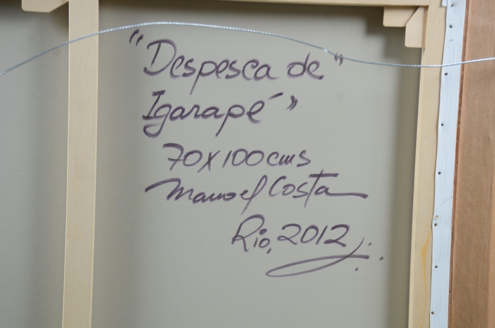 Manoel Costa (1943), Despesca de Igarapé - foto 5 de 5