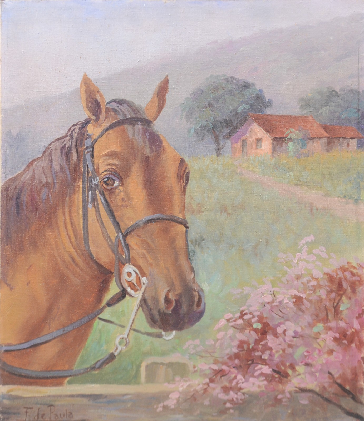 Cavalo - foto 1 de 3