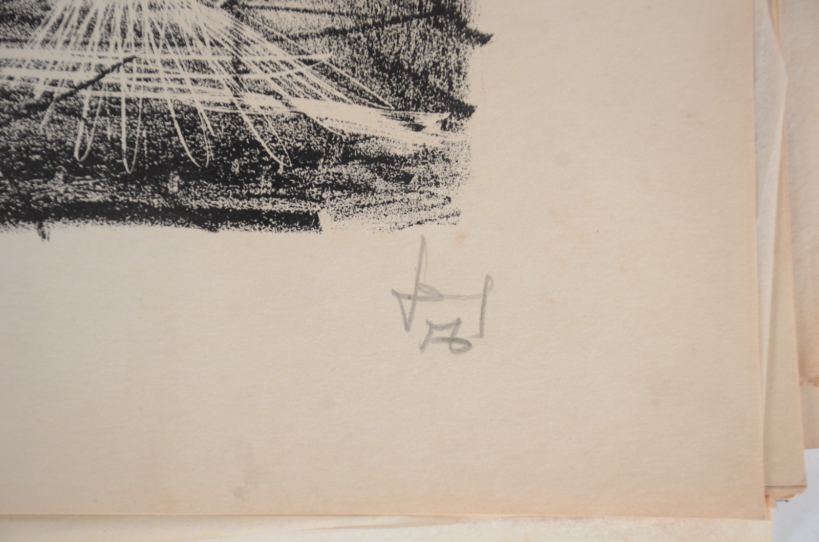 Darel (1924-2017), Circulo De Giz - foto 5 de 10