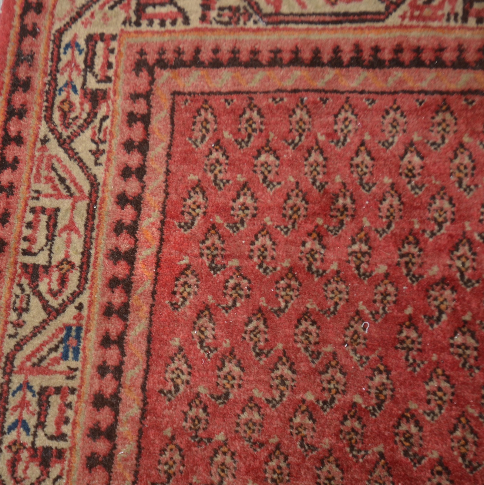 Tapete Saraband (1801) - foto 5 de 7