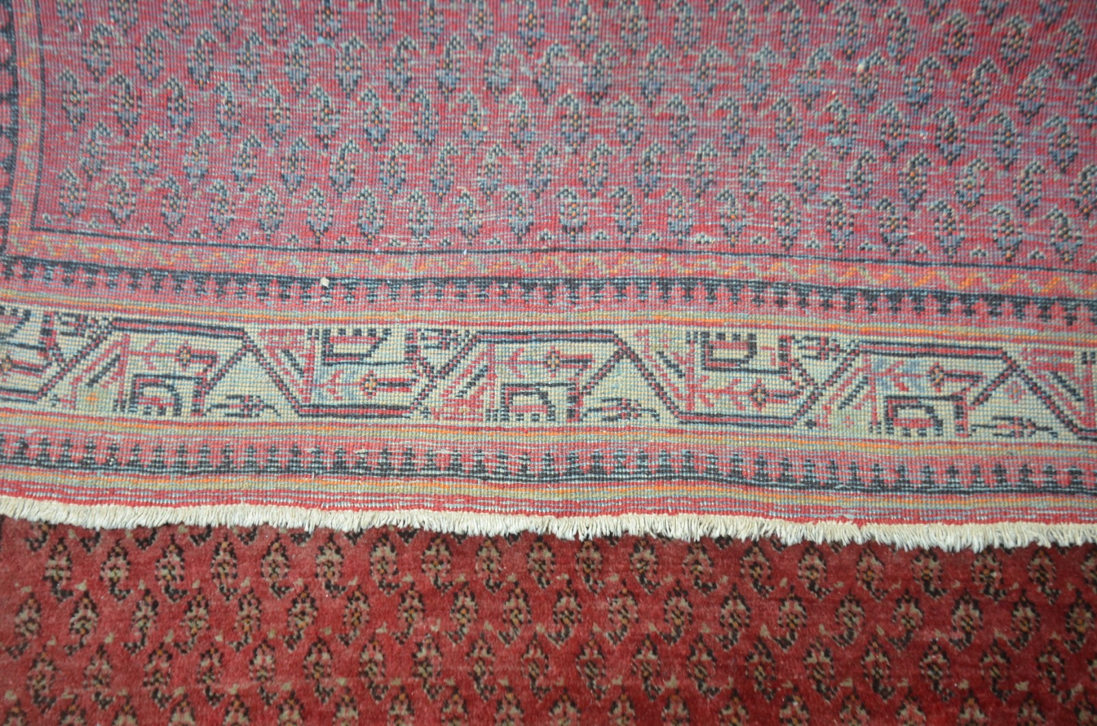 Tapete Saraband (1801) - foto 7 de 7