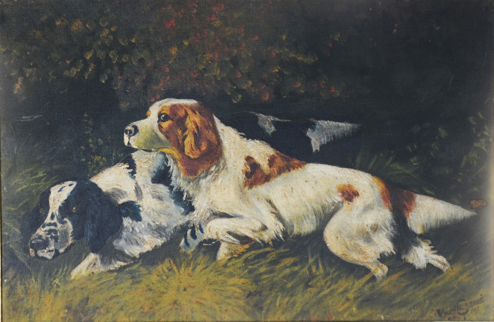 Cachorros - foto 1 de 4