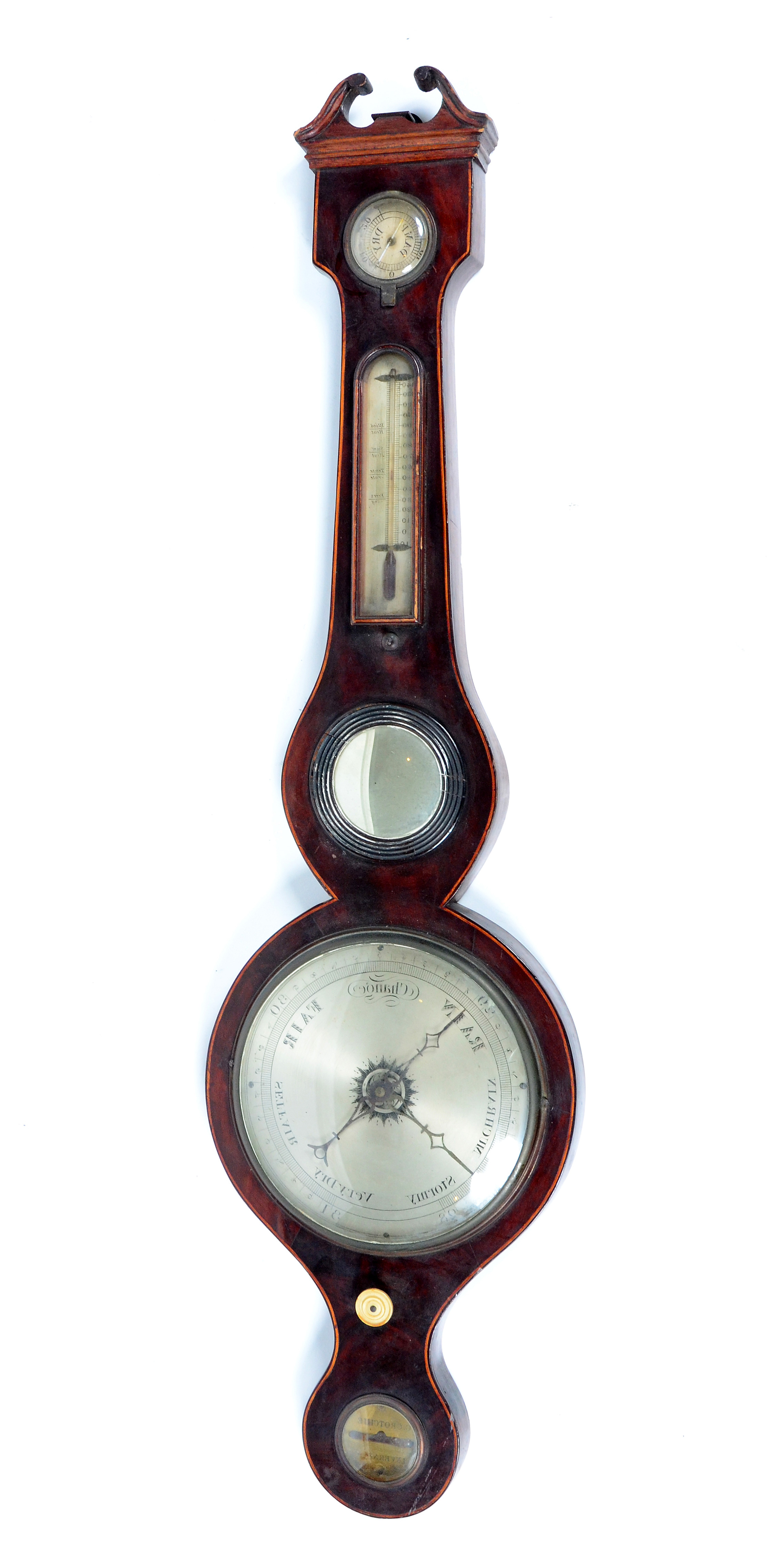 Lote 586