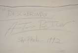 Antonio Peticov (1946), Descobrindo - Óleo sobre tela - datado 1992.