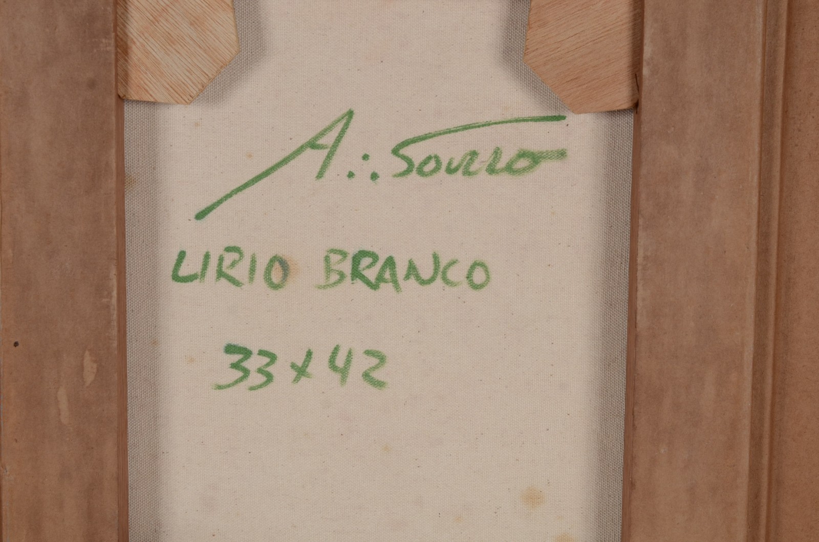 Adélio Sarro (1950), Lírio Branco - foto 5 de 5
