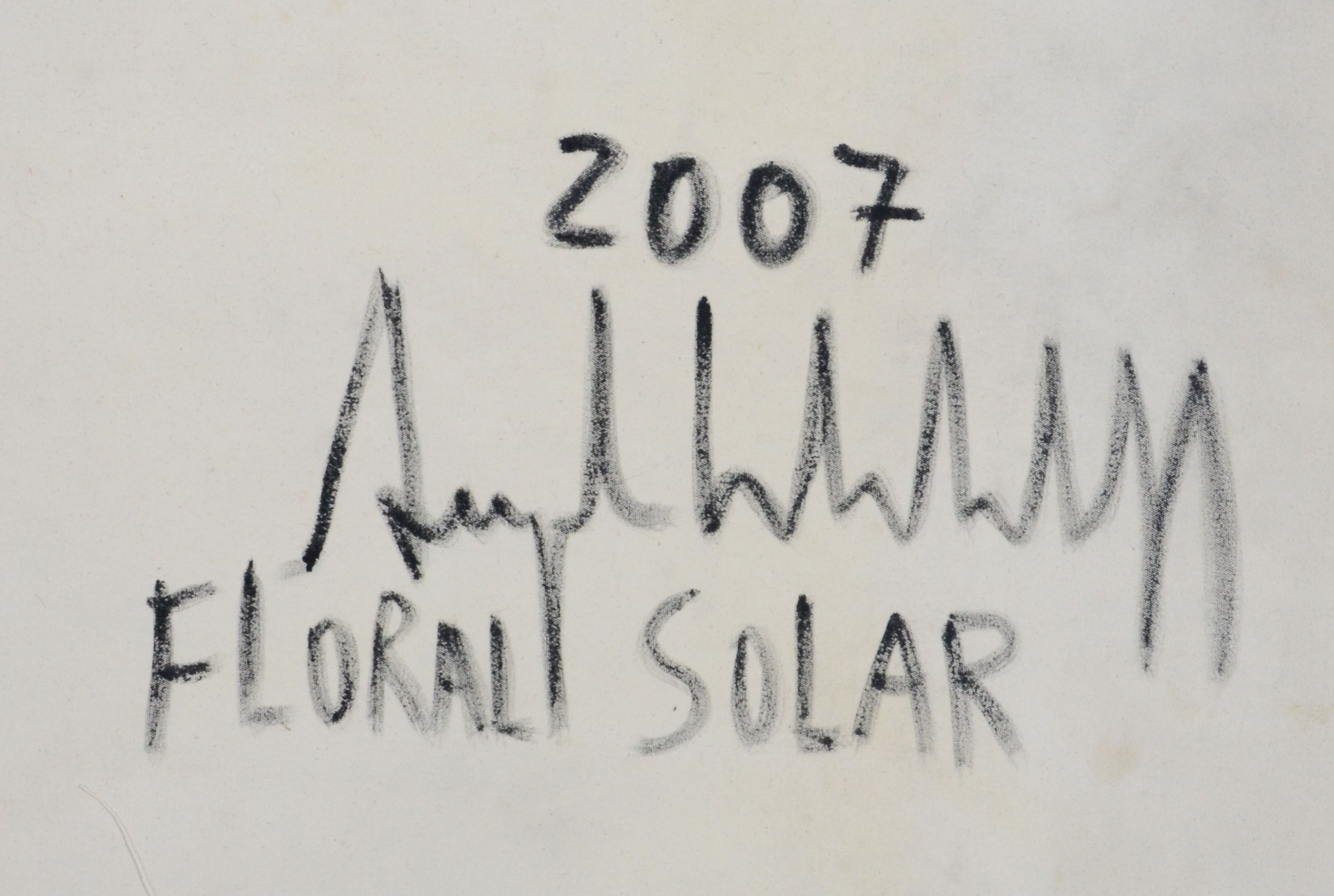 Augusto Herkenhoff  (1965), Floral solar - foto 2 de 2