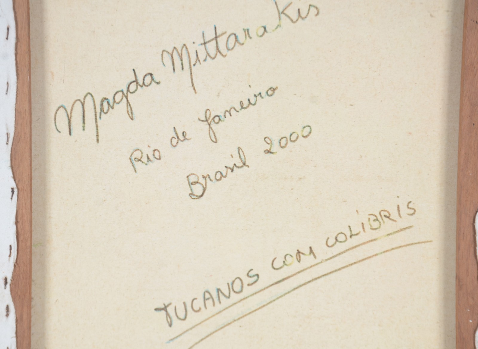 Tucanos Com Colibris - foto 4 de 4
