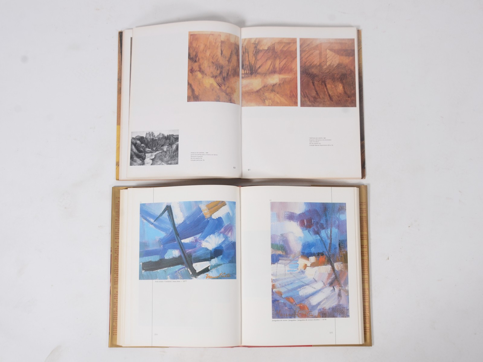 Seis Livros de Artistas variados, sendo: Scliar; Manoel Costa; Win... - foto 7 de 8