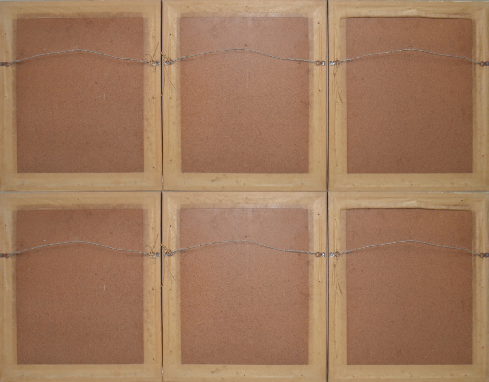 Seis quadros com estampas decorativas de estudo botânico. - foto 8 de 8