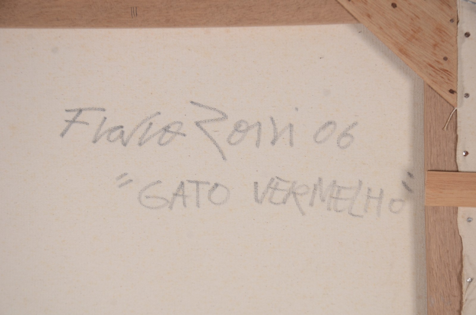 Gato - foto 5 de 5