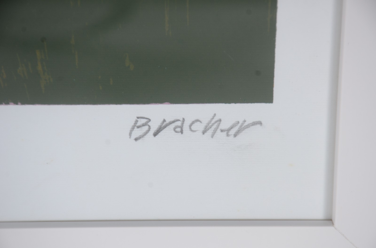 Carlos Bracher (1940), Vaso de Flores - foto 3 de 5