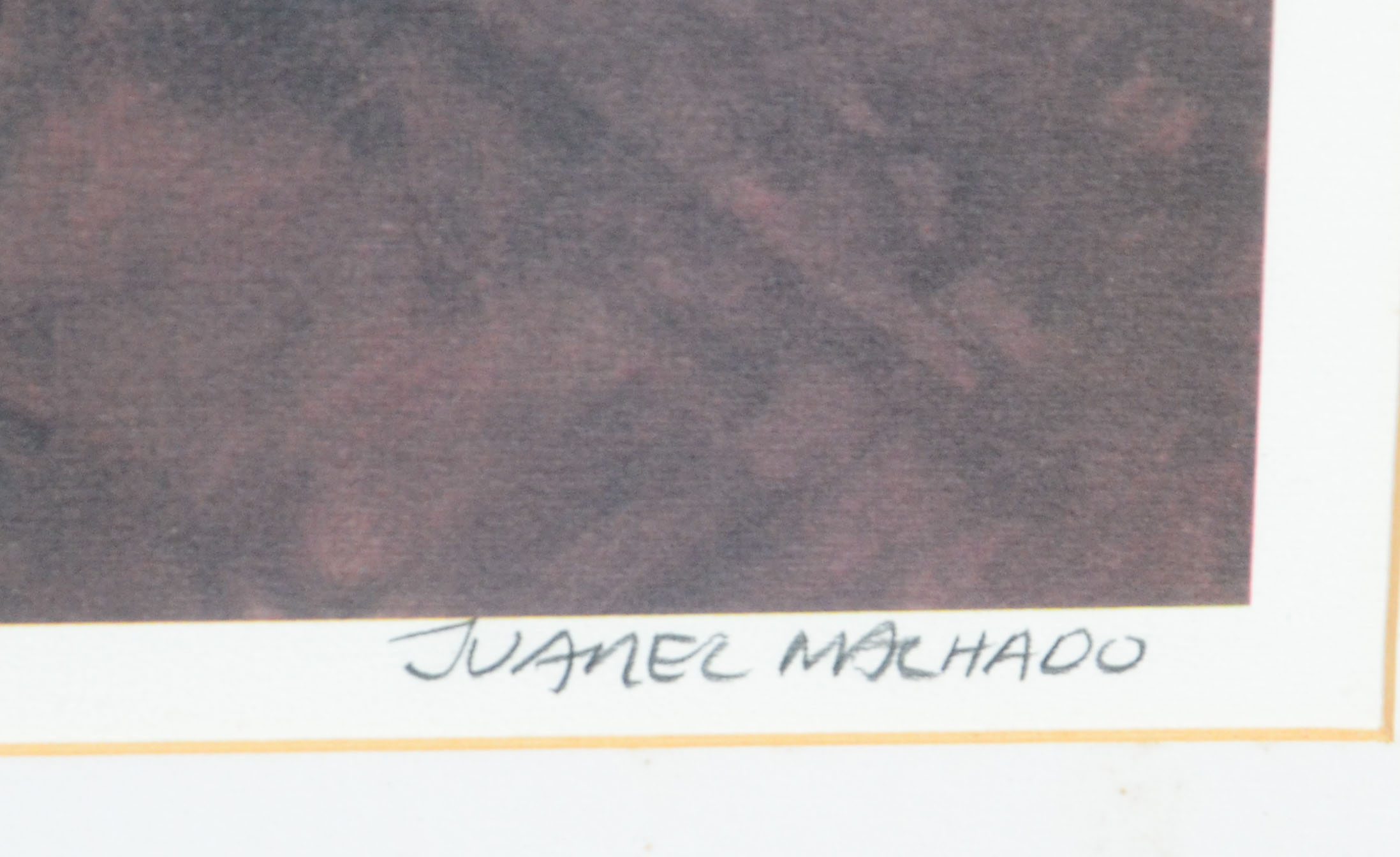 Juarez Machado (1941-2026) - foto 2 de 4