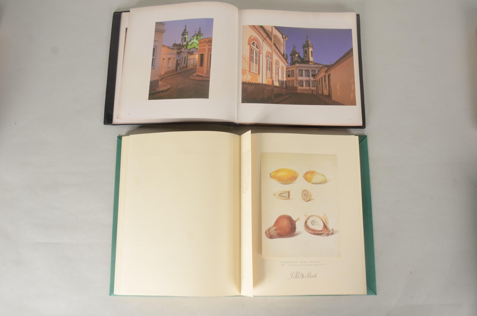 Seis livros : A) Aleijadinho - Germani Bazin B) Minas Gerais - Brasil... - foto 3 de 11